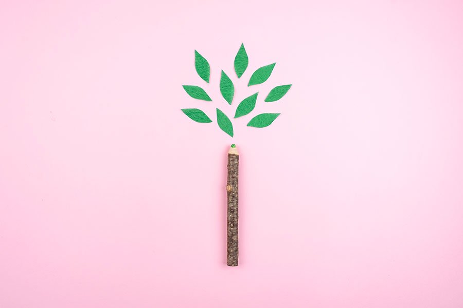 Compensation de notre empreinte carbone 2021